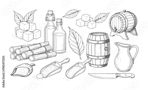 Hand drawn sugar cane ingredients and barrels with a pitcher and knife cubes leaves