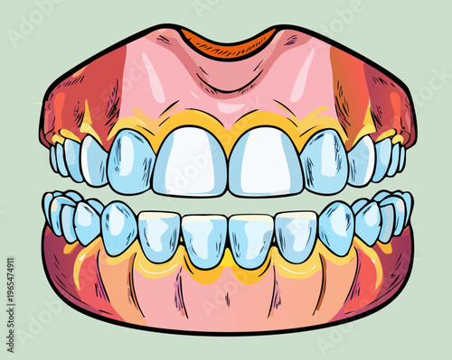 Detailed medical illustration of human teeth and gums showing dental structure for health education and clinical professional presentation of oral hygiene care