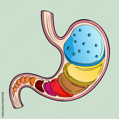 Abstract medical illustration of human stomach with blue dotted internal patterns for creative scientific presentations and gastroenterology health awareness concepts