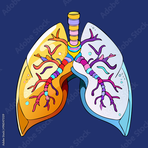 Vibrant anatomical illustration of human lungs on a dark blue background for professional medical education and respiratory system health awareness