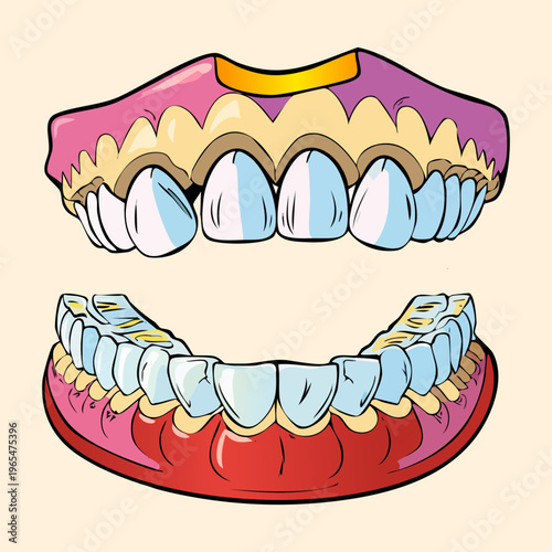 Detailed medical illustration of human teeth and gums for dental education and professional oral health care training and clinical research presentations