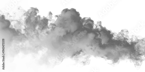 Bild auf Leinwand Light gray smoke with swirling motion, soft gradients and floating effect vector