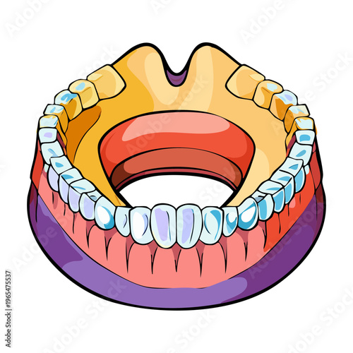 Anatomical model of human lower jaw with teeth for dental education and professional oral health care training and medical science research