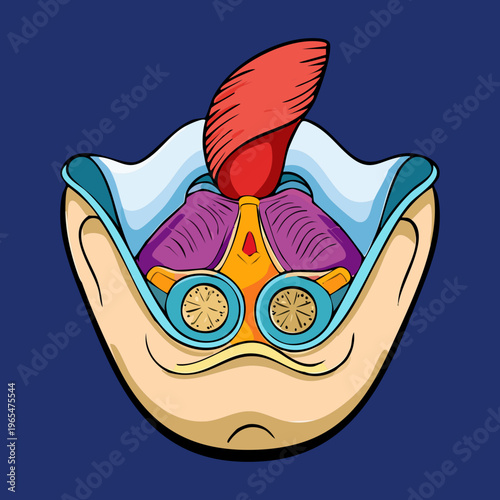 Human pelvic anatomy showing internal structures for medical science education and reproductive health professional training and clinical research and study materials