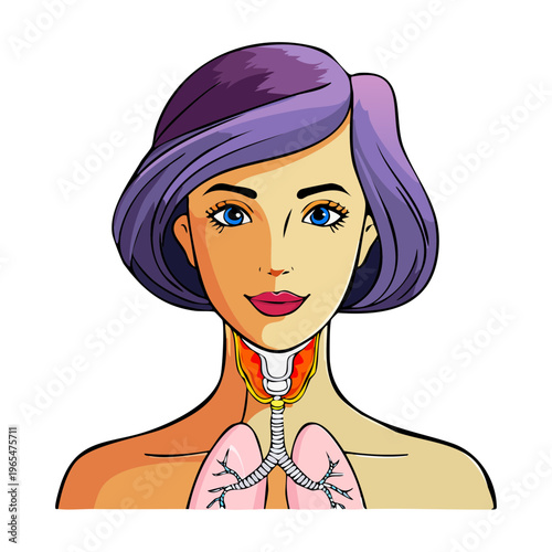 Detailed anatomical illustration of human female torso for medical science education and healthcare professional training and clinical research and study materials