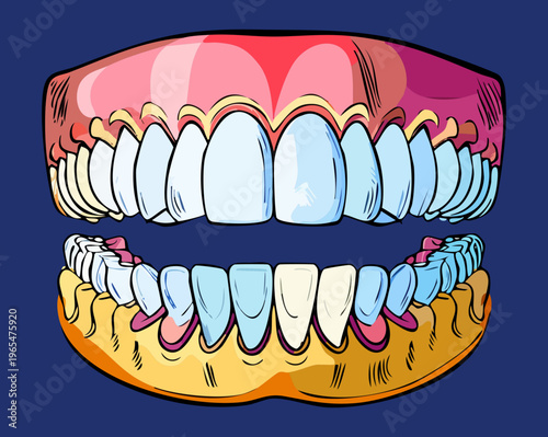 Detailed medical illustration of human teeth and gums on a dark blue background for dental education and professional oral health training