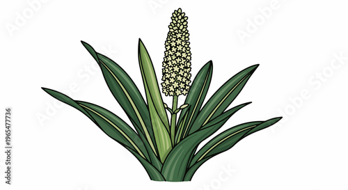 Green leaves surround a tall, pale yellow flower spike