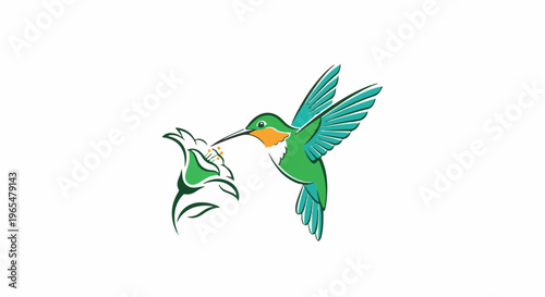 Green hummingbird with orange throat sips nectar from a white flower