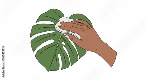 Hand gently wipes a large, green tropical leaf with a soft cloth
