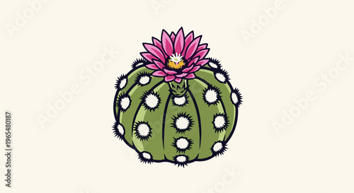 Green globular cactus with vibrant pink bloom and white, spiky areoles