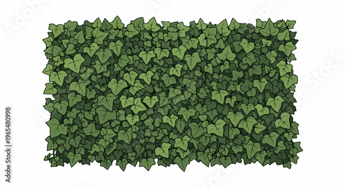 A dense, cartoon-style, green ivy plant covers a rectangular area