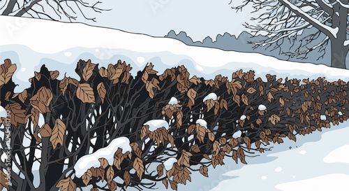 Autumn leaves cling to a snow-dusted hedge under bare tree branches