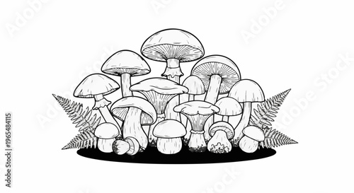 A diverse cluster of black and white illustrated mushrooms and ferns