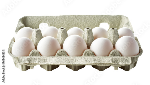 Isolated fresh raw dozen white eggs in open gray cardboard carton food ingredient.
