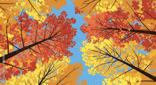 Vibrant autumn tree canopy seen from below against a clear blue sky