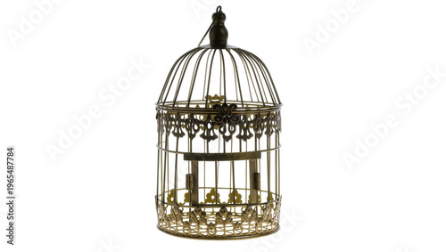 Isolated antique ornate metal bird cage decoration, empty, in old brass finish
