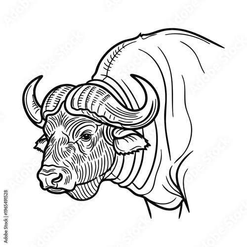 A detailed black and white line art drawing of a powerful buffalo head with large horns, showcasing intricate details.