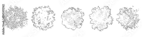 Vector set of trees in plan view for use in architectural drawings - isolated on transparent background