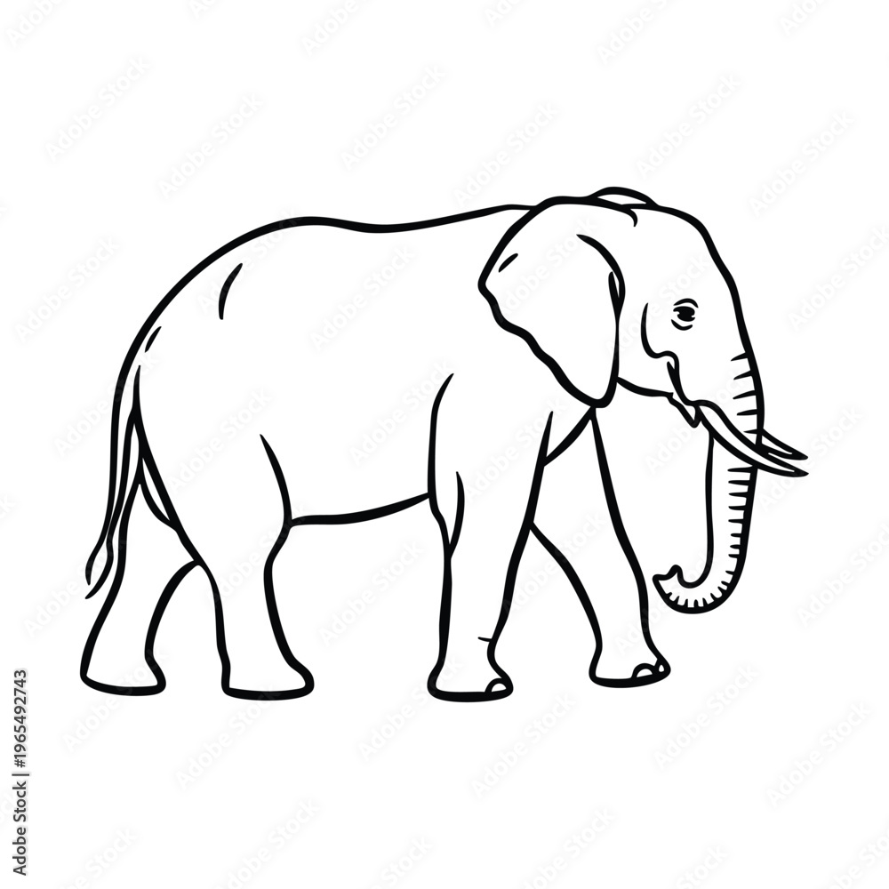 Fototapeta premium A simple black and white line drawing of an elephant walking, depicted in profile with tusks and a trunk.