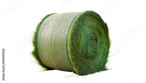 Принти на полотні Isolated fresh green round hay bale for farm animal forage agricultural feed liv