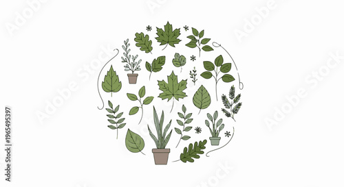 A circular arrangement of various green potted plants and leaves
