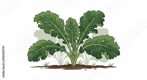 A large, leafy green plant with water droplets on its leaves, growing in soil