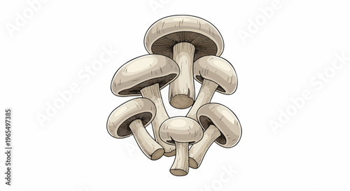 Cluster of various sized white mushrooms with visible gills and stems