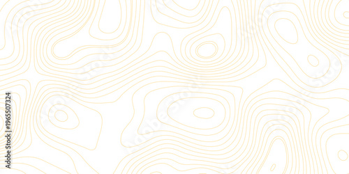 minimalist topographic map illustration with elegant brown contour lines on a clean white background