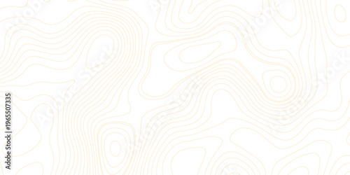 minimalist topographic map illustration with elegant brown contour lines on a clean white background