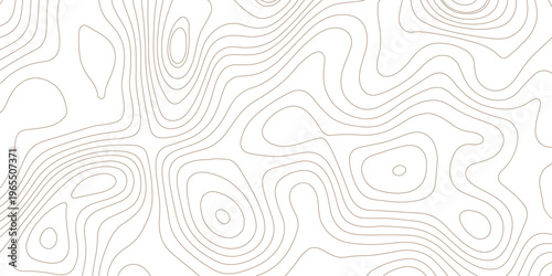 minimalist topographic map illustration with elegant brown contour lines on a clean white background
