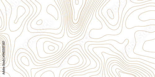 minimalist topographic map illustration with elegant brown contour lines on a clean white background
