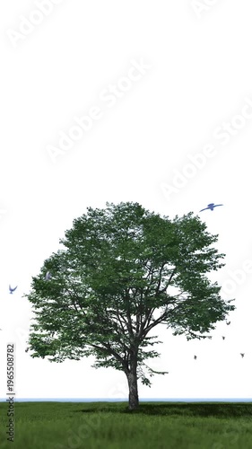 Wallpaper Mural Birds gracefully soar around a lush green tree under a bright white sky Torontodigital.ca