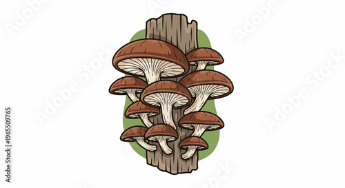 Cluster of brown mushrooms growing on a weathered wood stub