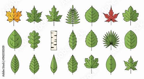 Collection of varied stylized tree leaves and a piece of bark