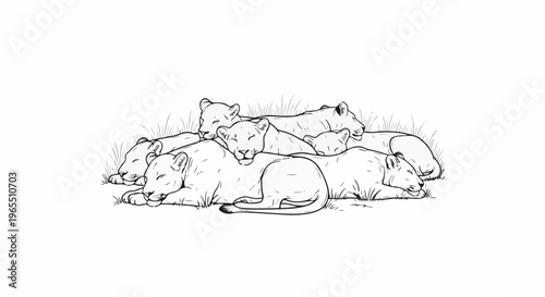 A group of lionesses and cubs are peacefully resting together on the grass, enjoying a nap