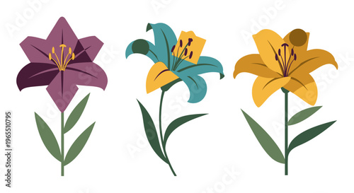 Colorful lilies in full bloom.