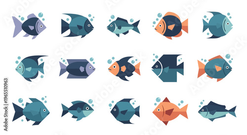 Collection of various colorful fish.