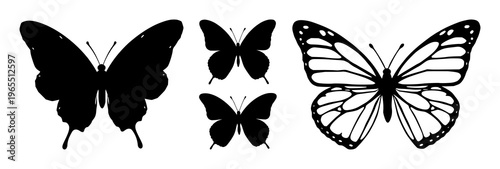 Butterfly wings set with open silhouette design and graceful lines featuring butterfly, wings, nature with insects and beauty