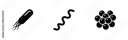 Black and white icons representing different bacteria types: rod-shaped bacillus with flagella, spiral spirochete, and round cocci cell clusters.