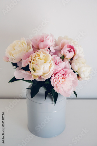 Beautiful bouquet of fresh colorful peonies in full bloom in vase against white background. Floral spring still life.