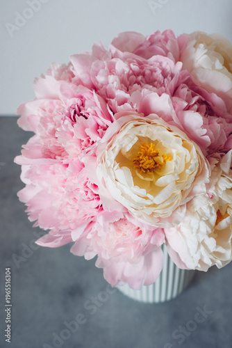 Beautiful bouquet of fresh colorful fluffy peony flowers in full bloom in vase on gray concrete background. Floral still life.