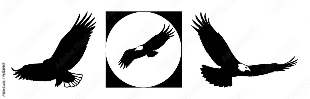Fototapeta premium Eagle set with soaring silhouette over expansive sky featuring wildlife, birds, flight with freedom and bold lines in high contrast tribute