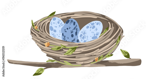 Bird nest house with eggs on branch. Illustration on transparent background
