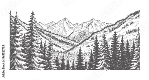 Hand drawn coniferous forest and mountain range landscape trees pine mountains