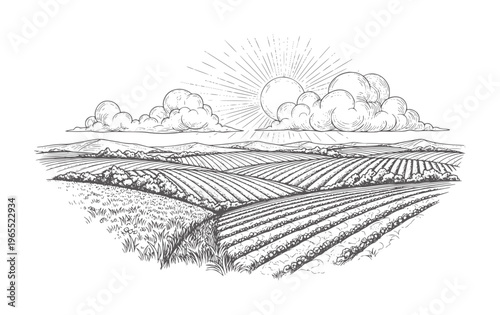 Rolling farm fields under a sunburst sky with dramatic clouds landscape agriculture