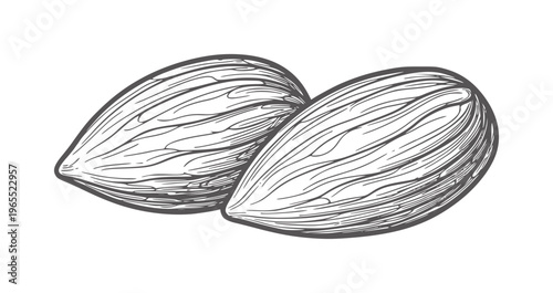 Two line almonds white nuts food healthy ingredient