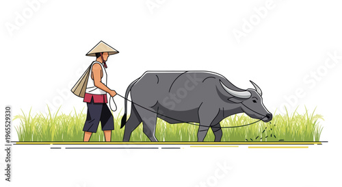 Man walking with large gray buffalo.