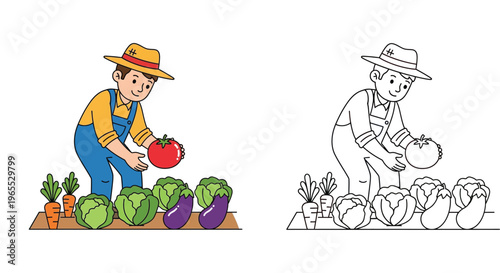 Farmer harvesting organic vegetables in the garden with tomato, cabbage, and eggplants; cartoon character illustration and black and white coloring page for kids educational activity.