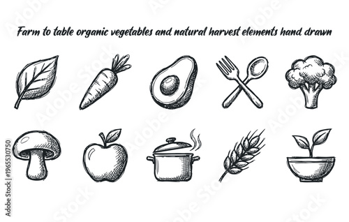 Farm to table organic vegetables and natural harvest elements hand drawn ink
