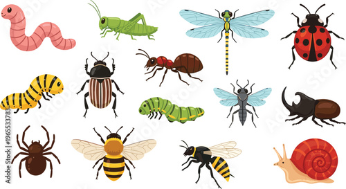 Insect Vector Illustration Showing Worm Grasshopper Dragonfly Ladybug Caterpillar Beetle Ant Fly Spider Bee Wasp Snail